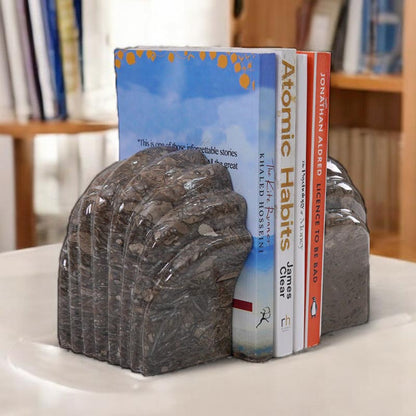 Shell Bookend