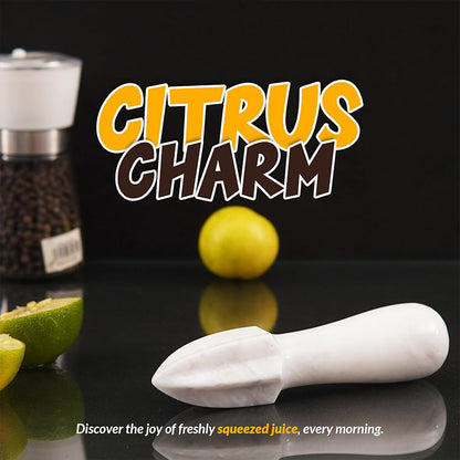 Citrus Reamer