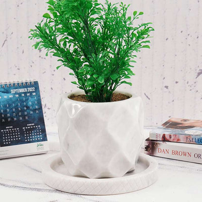 planter, indoor planter, marble planter