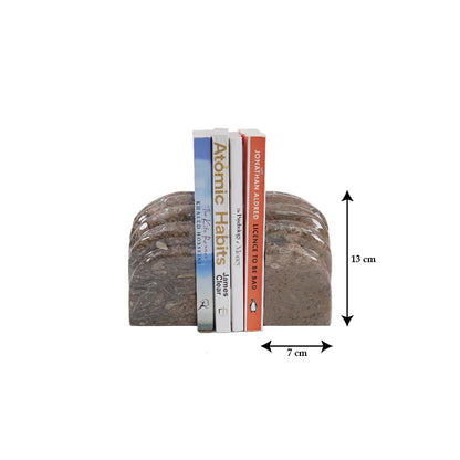 Shell Bookend