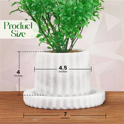 Planter Straight Line Design - 10cm